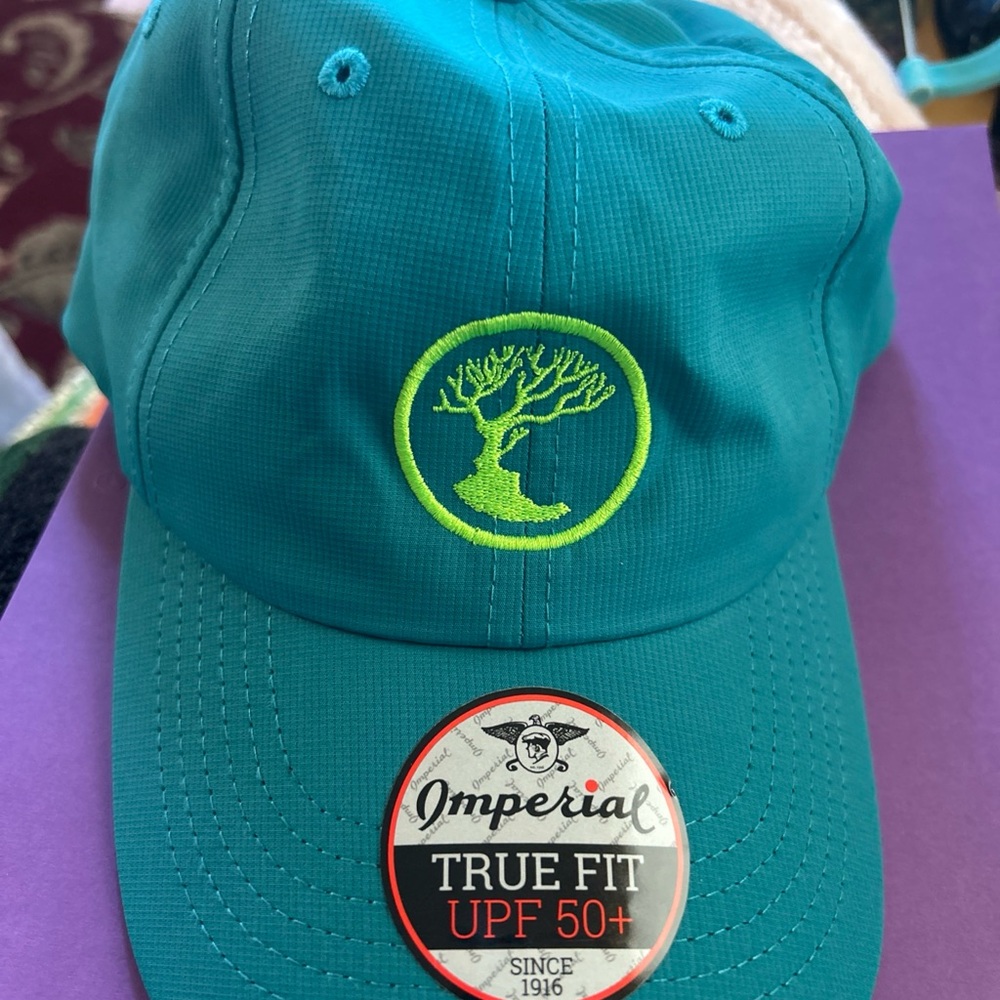 MADTREE BREWERY OHIO Baseball Cap - Teal w/ Lime green logo embroidered